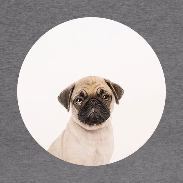 Puggly the Pug Dog by Vin Zzep